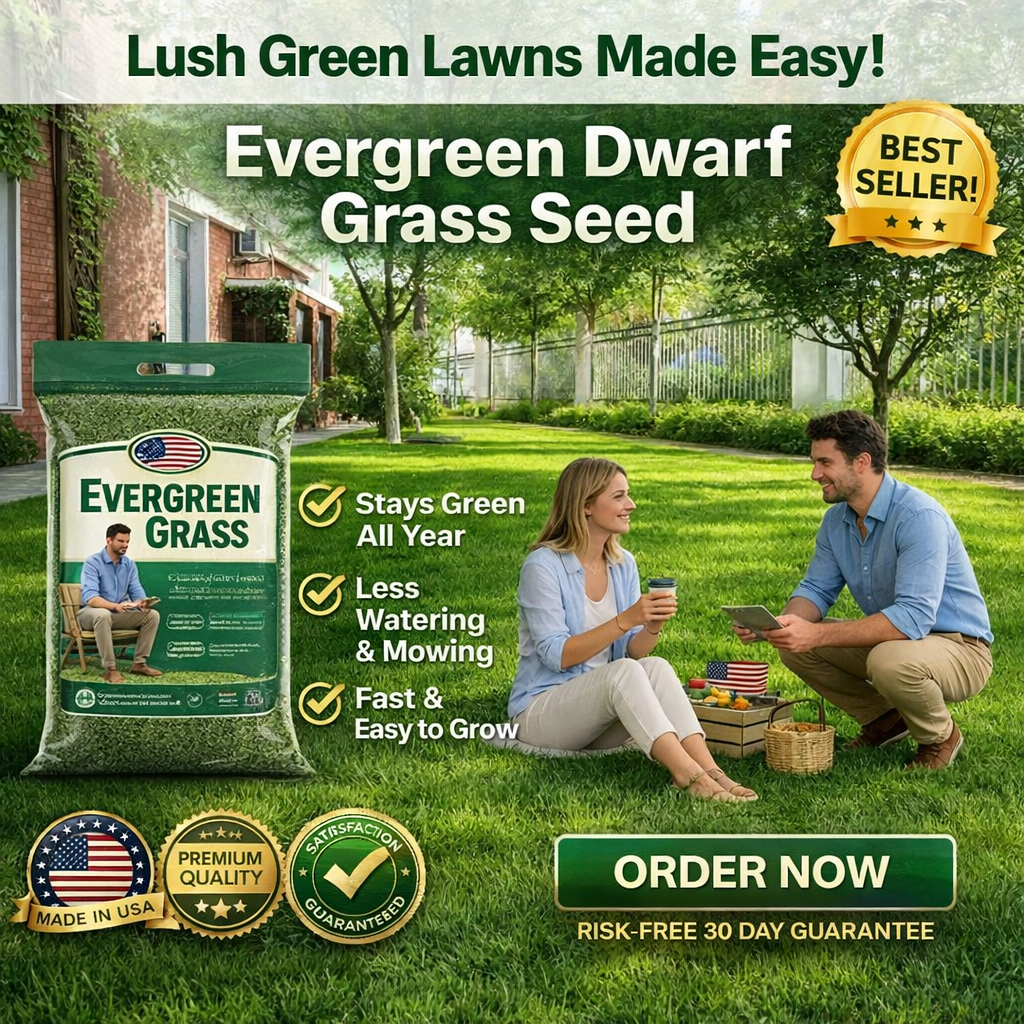 /69e0e1e90e1bee000aa620e4/2026/04/16/product-img-69e11e08373c02bd69cc0824.png